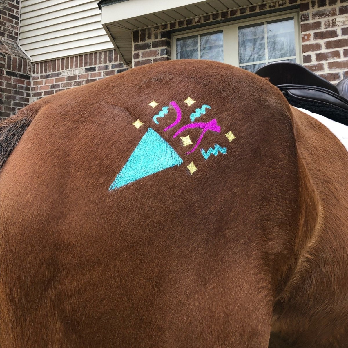 Celebration - Glitter Stencil Tattoo Kit for Horses - Equiluxe Tack