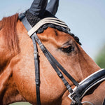Champagne Browband - Equiluxe Tack