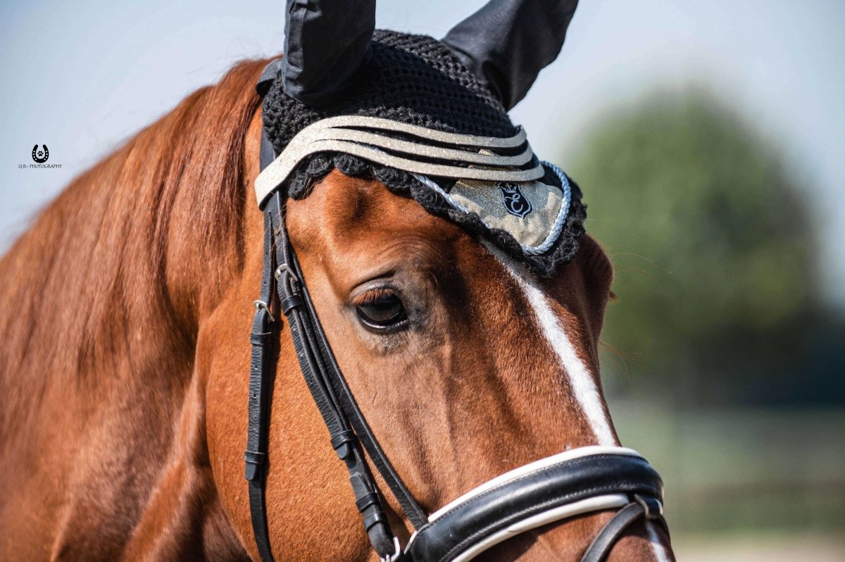 Champagne Browband - Equiluxe Tack