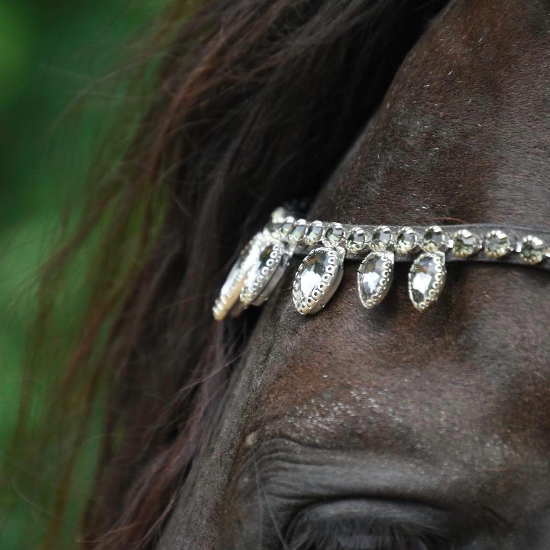 Masego Charcoal Raindrop Swarovski Browband - MASEGO Horsewear - Equiluxe Tack