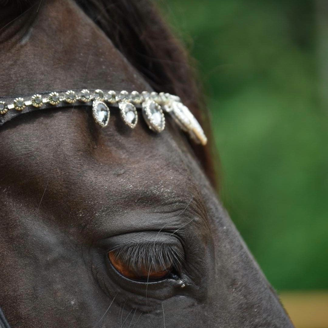 Masego Charcoal Raindrop Swarovski Browband - MASEGO Horsewear - Equiluxe Tack