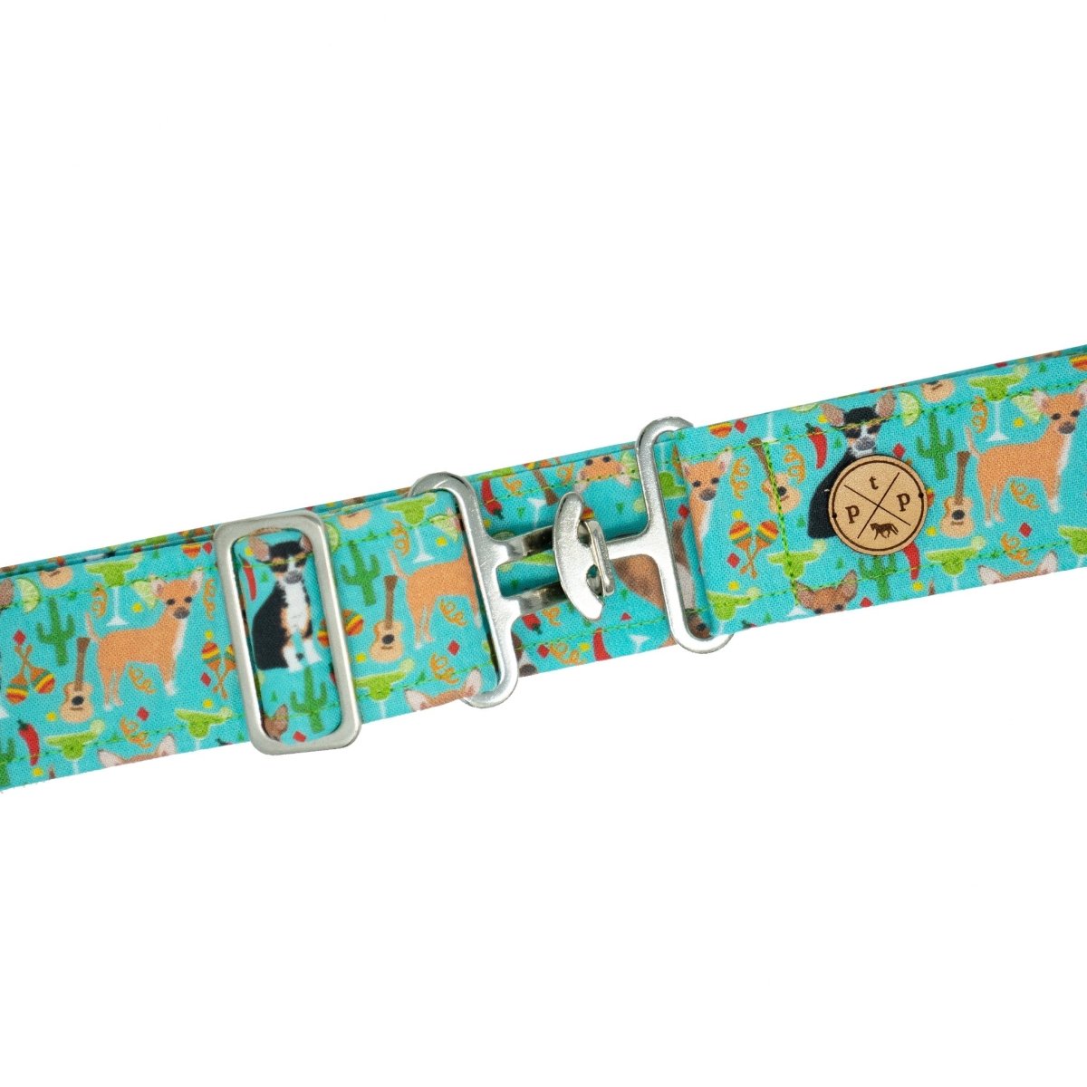 Chihuahua - Adult Belt - Equiluxe Tack