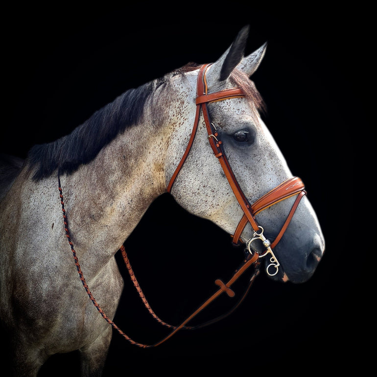 'Classy' Fancy Stitch Bridle w/ Flash - 3 Colors - Equiluxe Tack