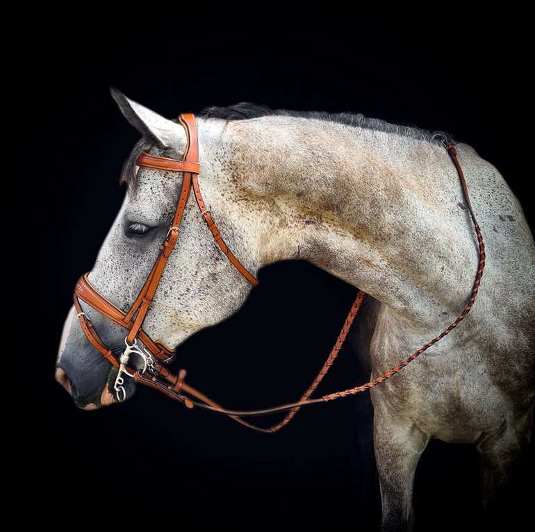 'Classy' Fancy Stitch Bridle w/ Flash - 3 Colors - Equiluxe Tack