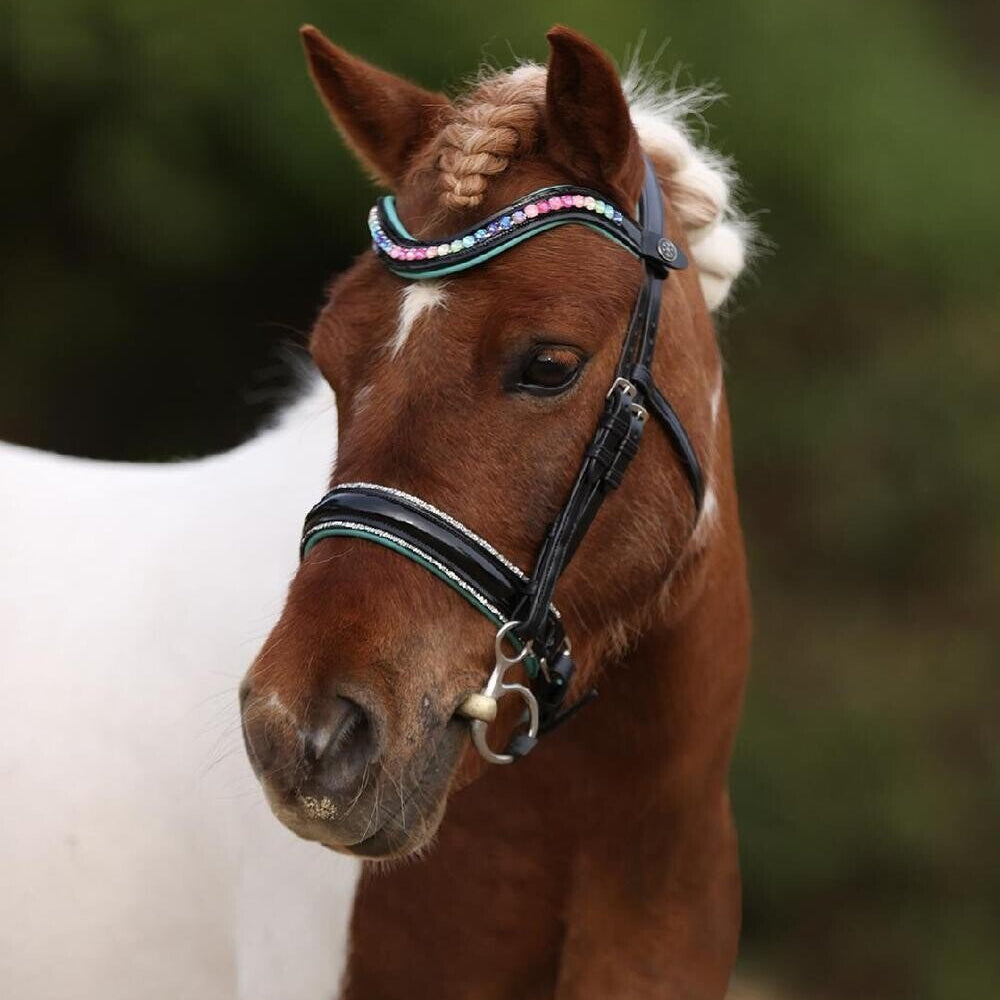 Dainty Bridle Elite Rainbow Dash - Equiluxe Tack