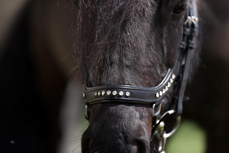 Dainty Prestige Marbella Crystal Bridle (Limited Edition) - Equiluxe Tack