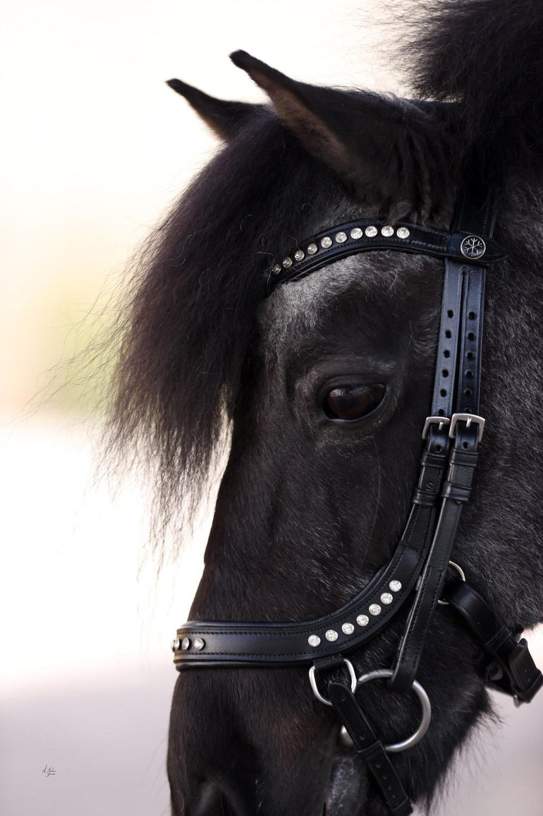 Dainty Prestige Marbella Crystal Bridle (Limited Edition) - Equiluxe Tack