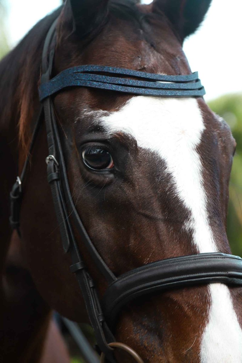 Deep Sapphire Browband - Equiluxe Tack