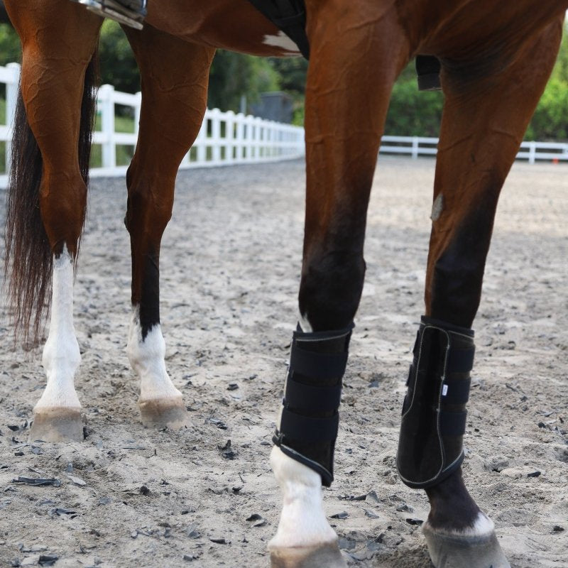 Deep Sapphire Signature Brushing Boots - Equiluxe Tack