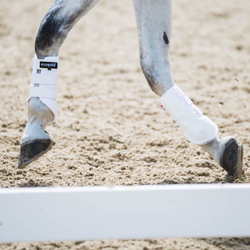EcoGold Exercise Horse Boots - EcoGold - Equiluxe Tack