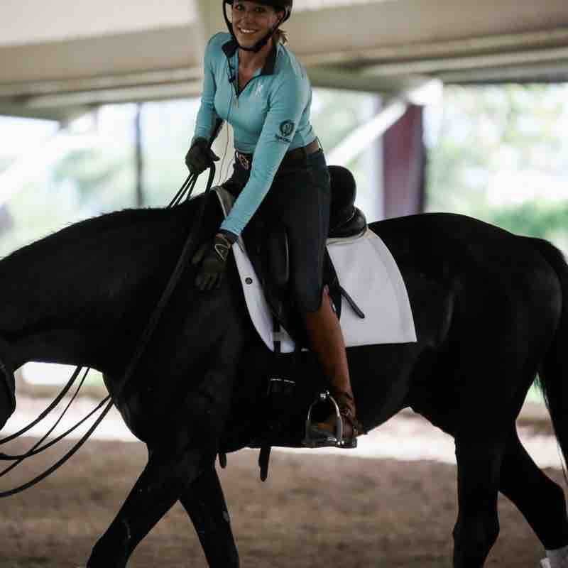 EcoGold Secure Dressage Saddle Pad - EcoGold - Equiluxe Tack