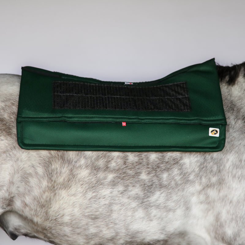 EcoGold Western High Performance Secure Pad - EcoGold - Equiluxe Tack