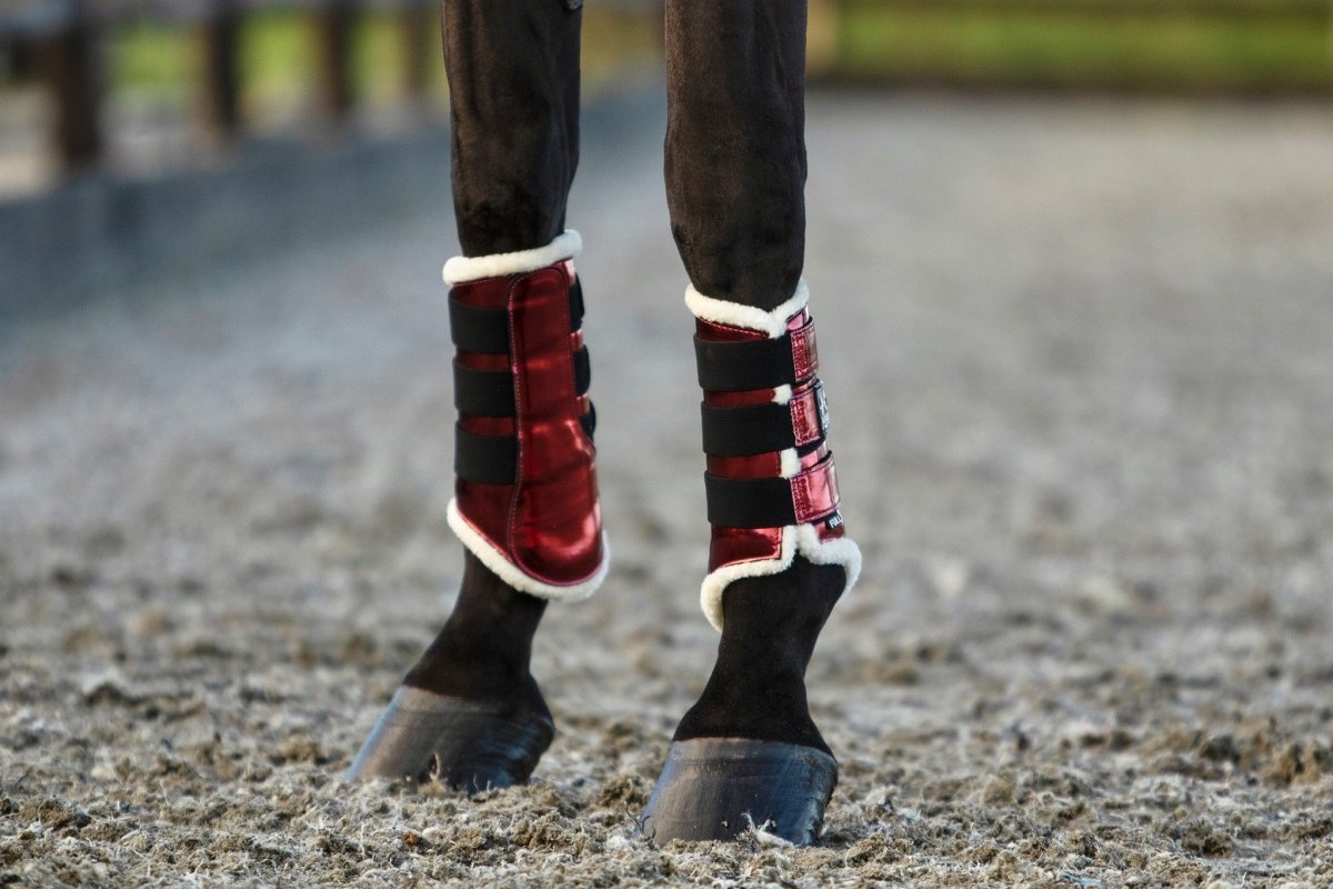 Electric Red Brushing Boots - Equiluxe Tack