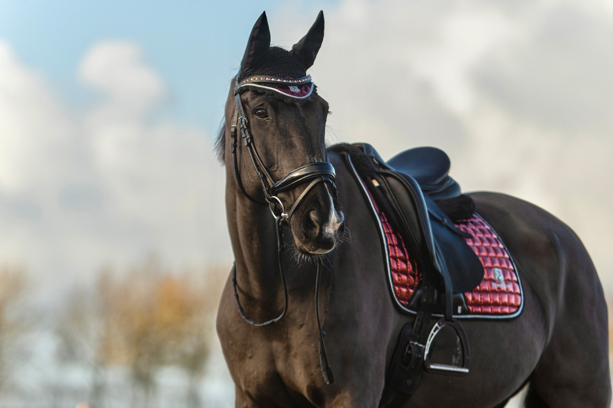 Electric Red Saddle Pad - Equiluxe Tack