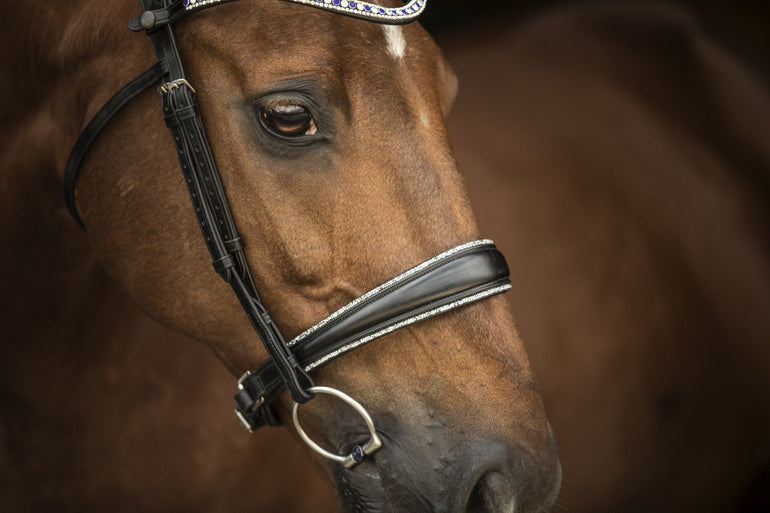 Elite Sofia Silver Crystal Noseband - Equiluxe Tack