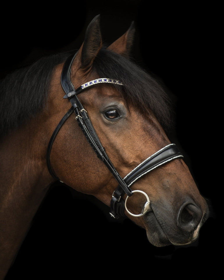 Elite Sofia Silver Crystal Noseband - Equiluxe Tack
