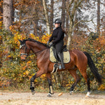 Equestroom Astris Brushing Boots - Equiluxe Tack