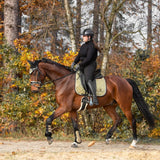 Equestroom Astris Brushing Boots - Equiluxe Tack