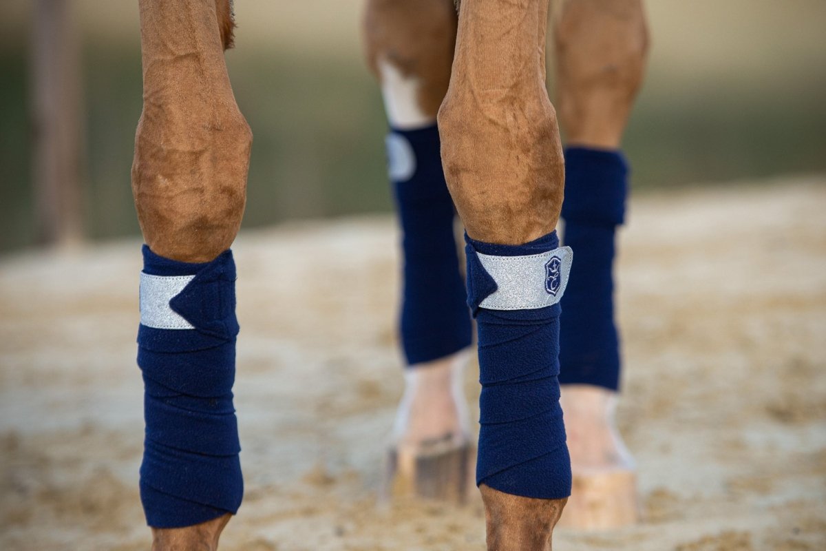 Equestroom Blue Astra Polo Wraps - Equiluxe Tack