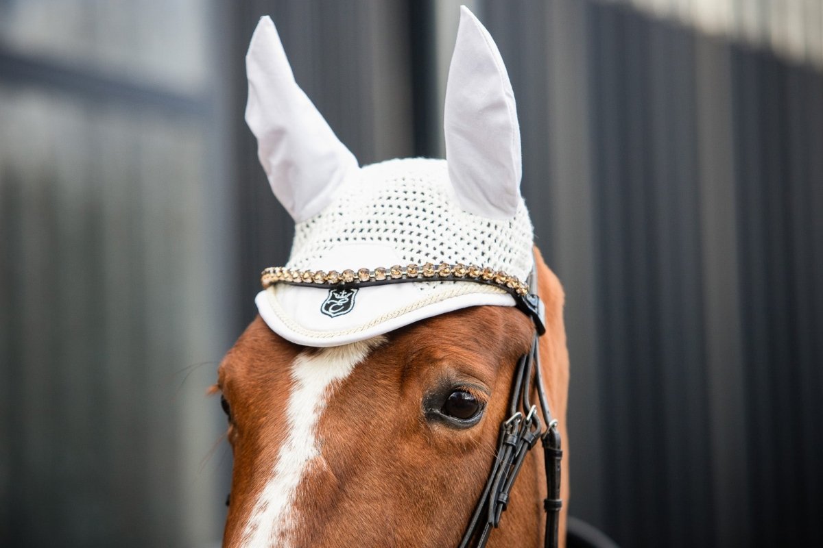 Equestroom Goldenlight Browband (PRE-ORDER) - Equiluxe Tack