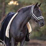 Equestroom Midnight Black Halter - Equiluxe Tack