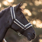 Equestroom Midnight Black Halter - Equiluxe Tack