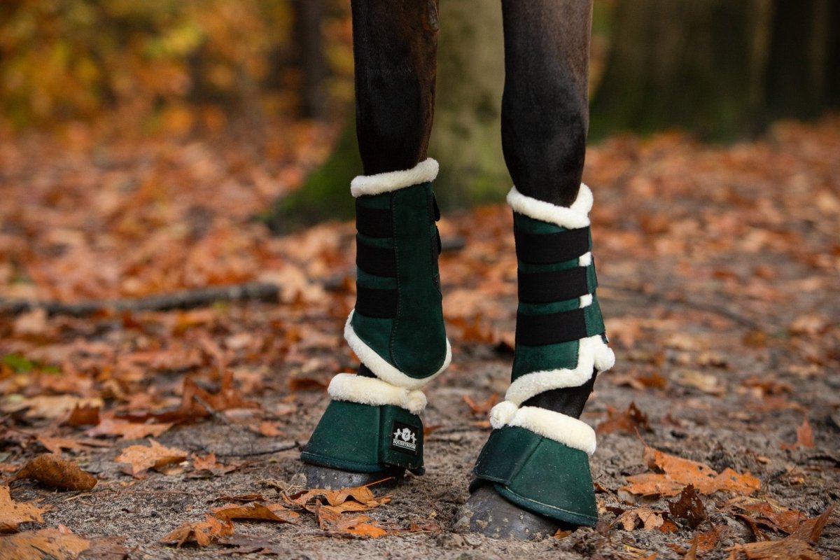 Equestroom Pine Grove Brushing Boots - Equiluxe Tack