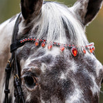 Equestroom Scarlet Red Browband - Equiluxe Tack