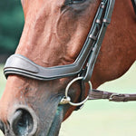 Equiluxe Innovation - Annatomical Jump Bridle - Equiluxe Tack