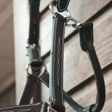 Equiluxe Padded Fancy Stitched Leather Halter - Equiluxe Tack