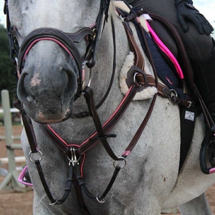 Equiluxe Pink Padding 5-Point Breastplate - Equiluxe Tack