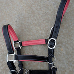 Equiluxe Pink Padding Leather Halter - Equiluxe Tack
