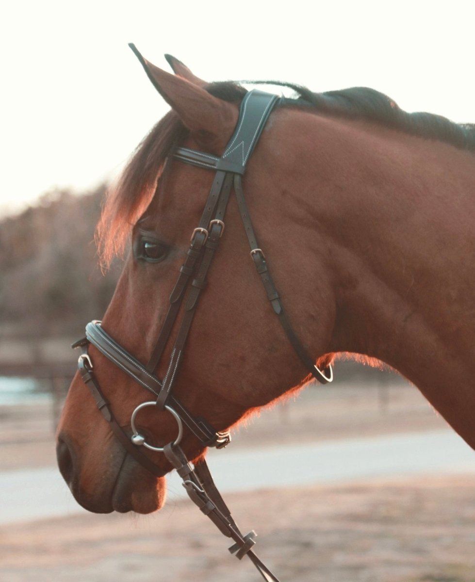 Equiluxe Simplicity - Removable Flash Bridle - Equiluxe Tack