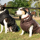 FITS All Weather Dog Coat - Equiluxe Tack