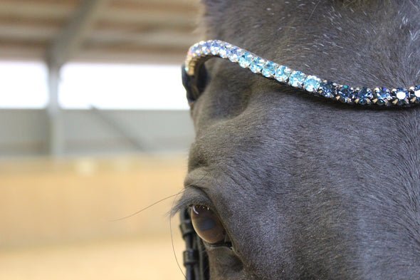Masego Frosty Sapphire Swarovski Browband - MASEGO Horsewear - Equiluxe Tack