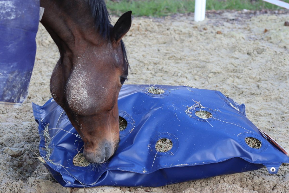 GG Equine HayPlay Bag Slow-feed XL - Equiluxe Tack