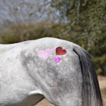 Girls Just Want to Have Fun - Glitter Stencil Tattoo Kit for Horses - Equiluxe Tack
