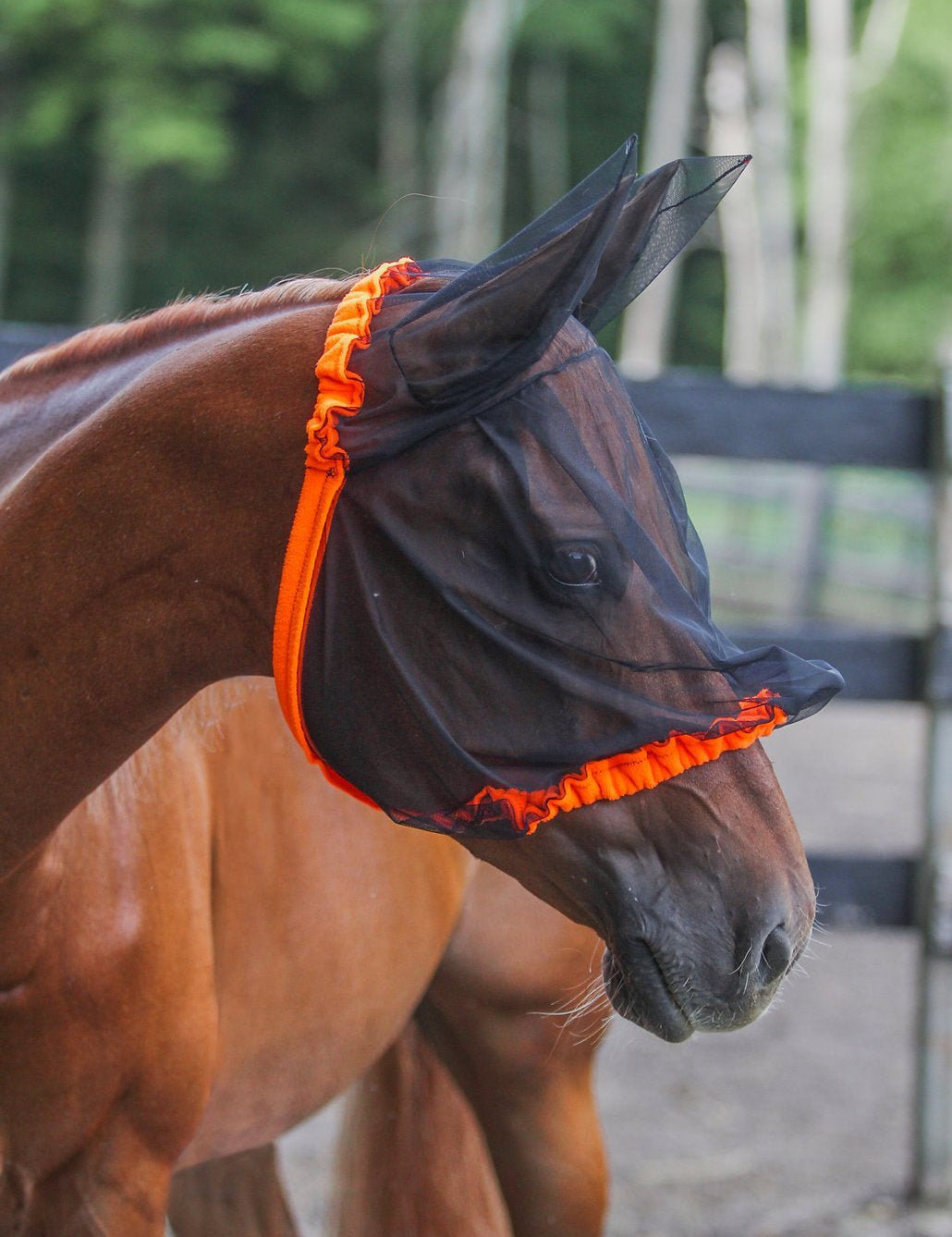Half Hoodies Fly Masks - All Sizes & Colors - Horsehoodies - Equiluxe Tack