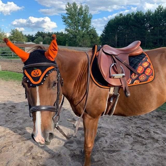 Halloween Pumpkin Pad Set - Equiluxe Tack