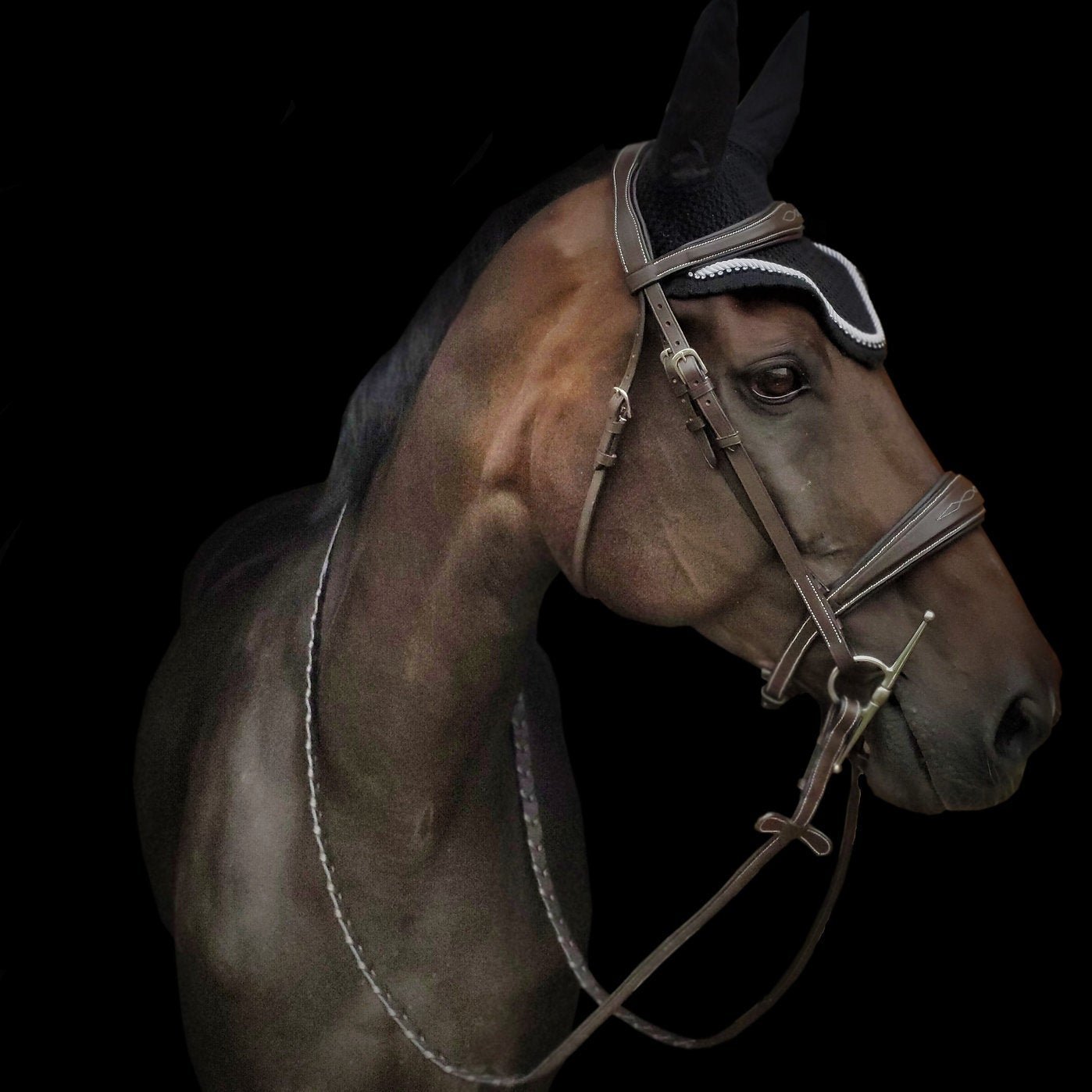'Hunter' Fancy Stitch Padded Show Bridle - Equiluxe Tack