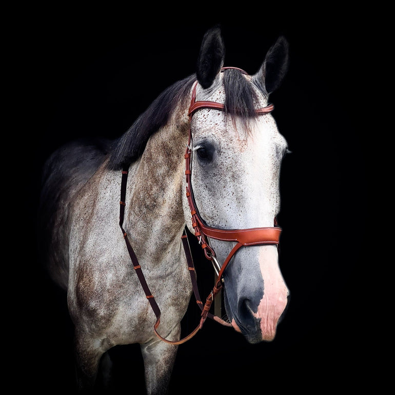 'Magic' Multi Bridle w/ Flash - 3 Colors - Equiluxe Tack