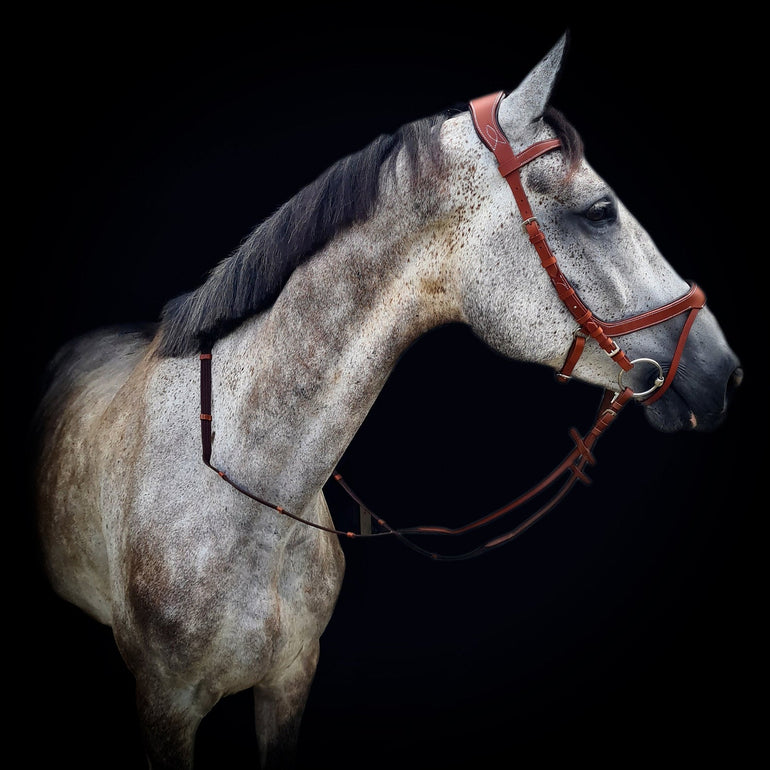 'Magic' Multi Bridle w/ Flash - 3 Colors - Equiluxe Tack