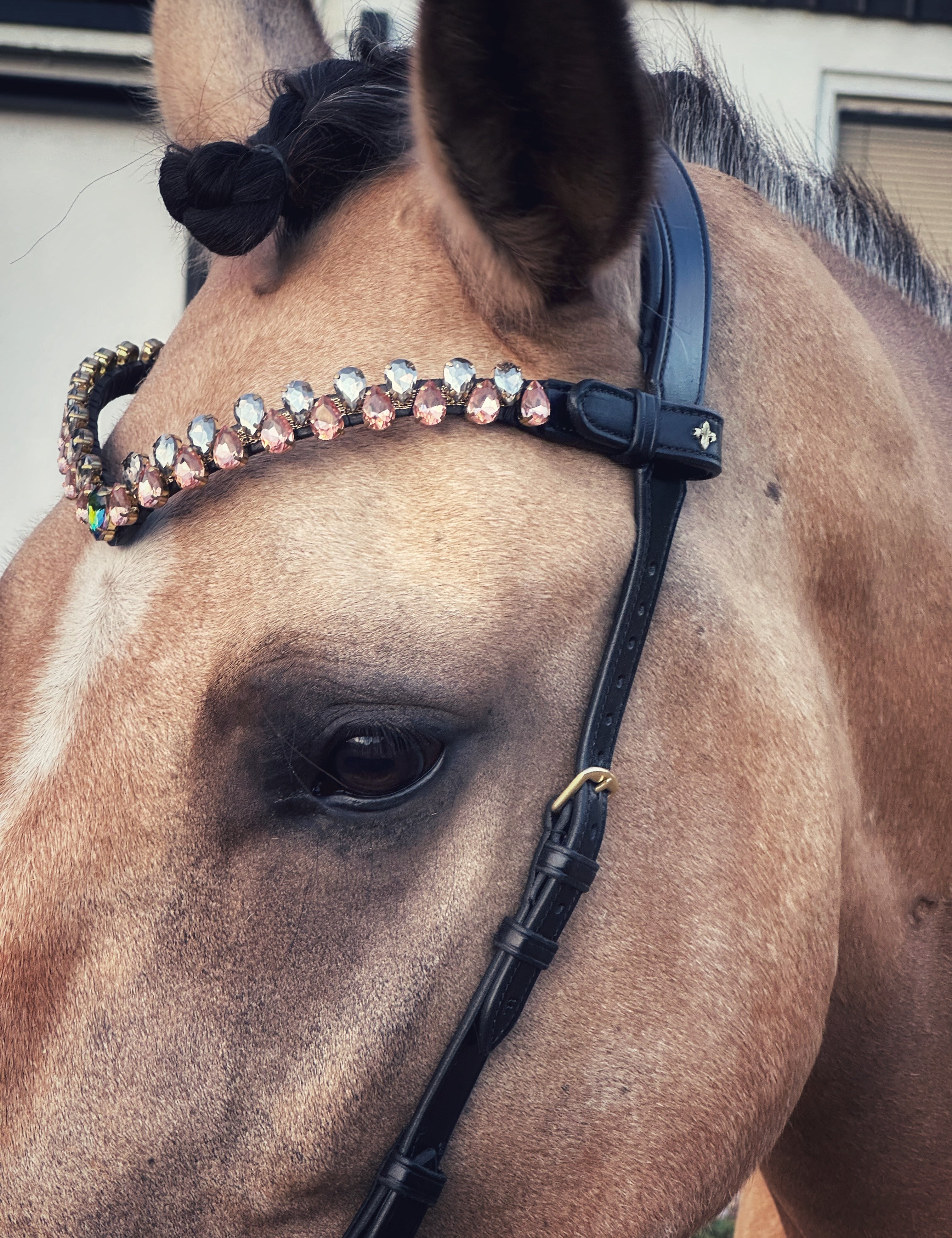Masego Aurora Italian Leather Browband - MASEGO horsewear - Equiluxe Tack