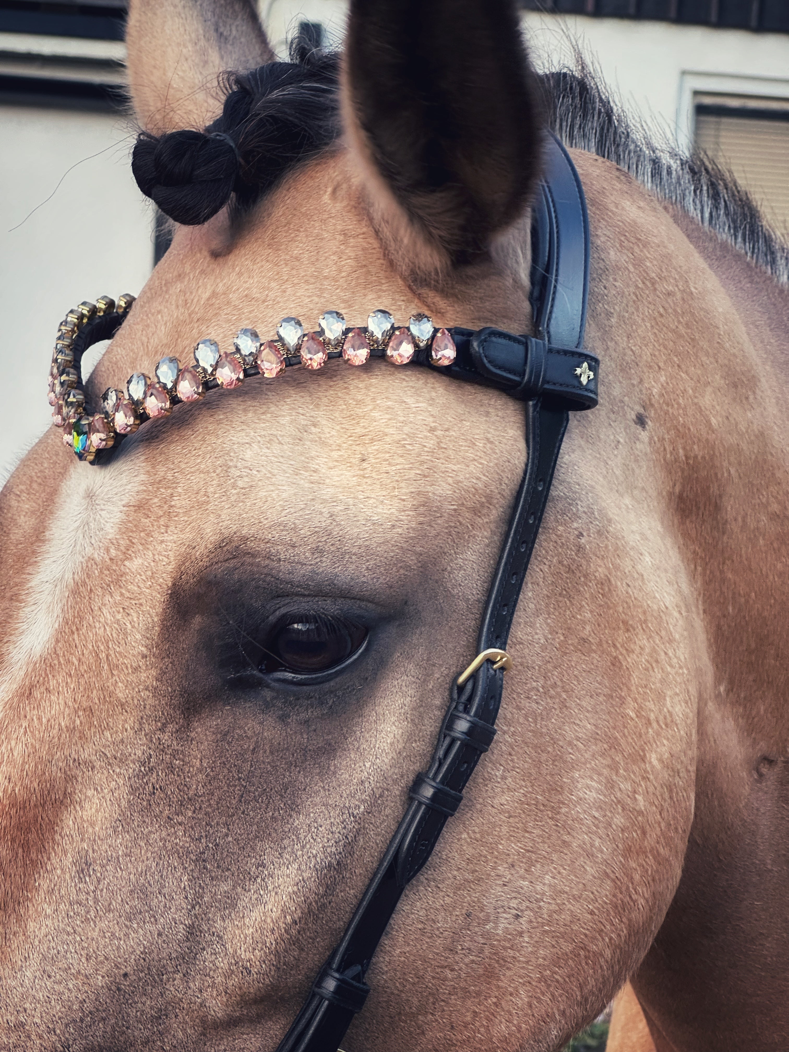 Masego Aurora Italian Leather Browband - Equiluxe Tack
