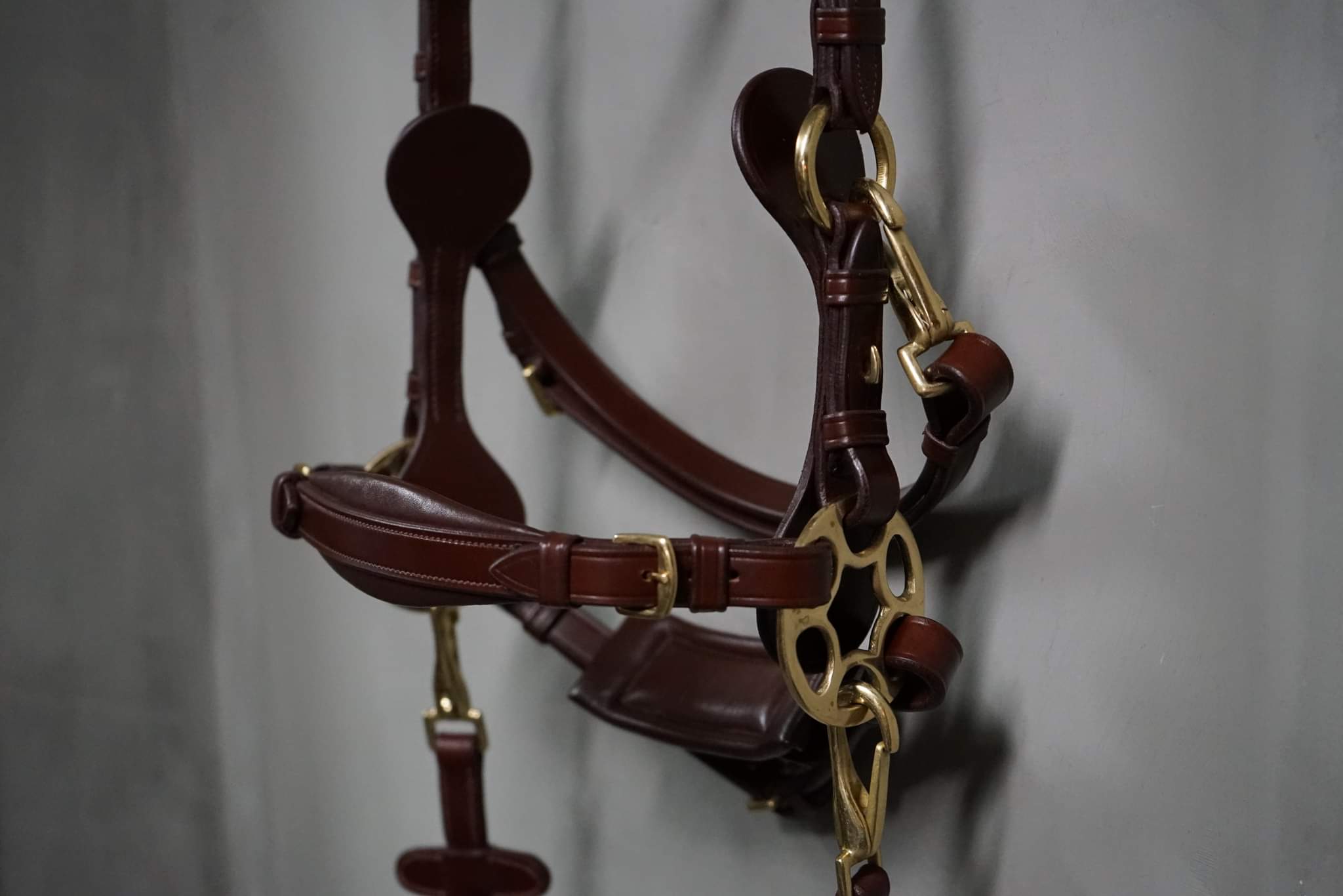 Masego Bella Starwheel Hackamore Bridle - Brown - MASEGO horsewear - Equiluxe Tack