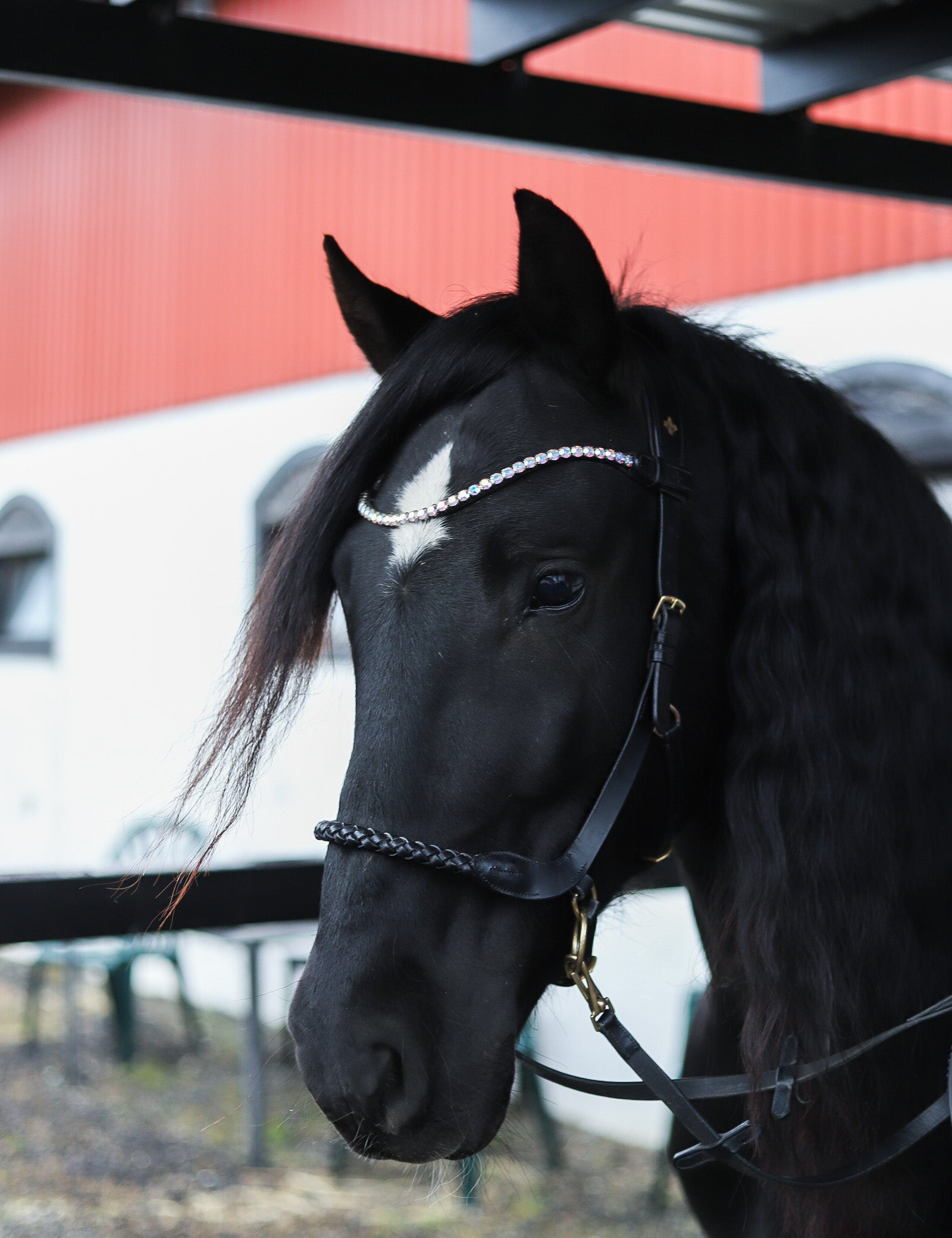 Masego Braided Sidepull Bitless Bridle - MASEGO horsewear - Equiluxe Tack