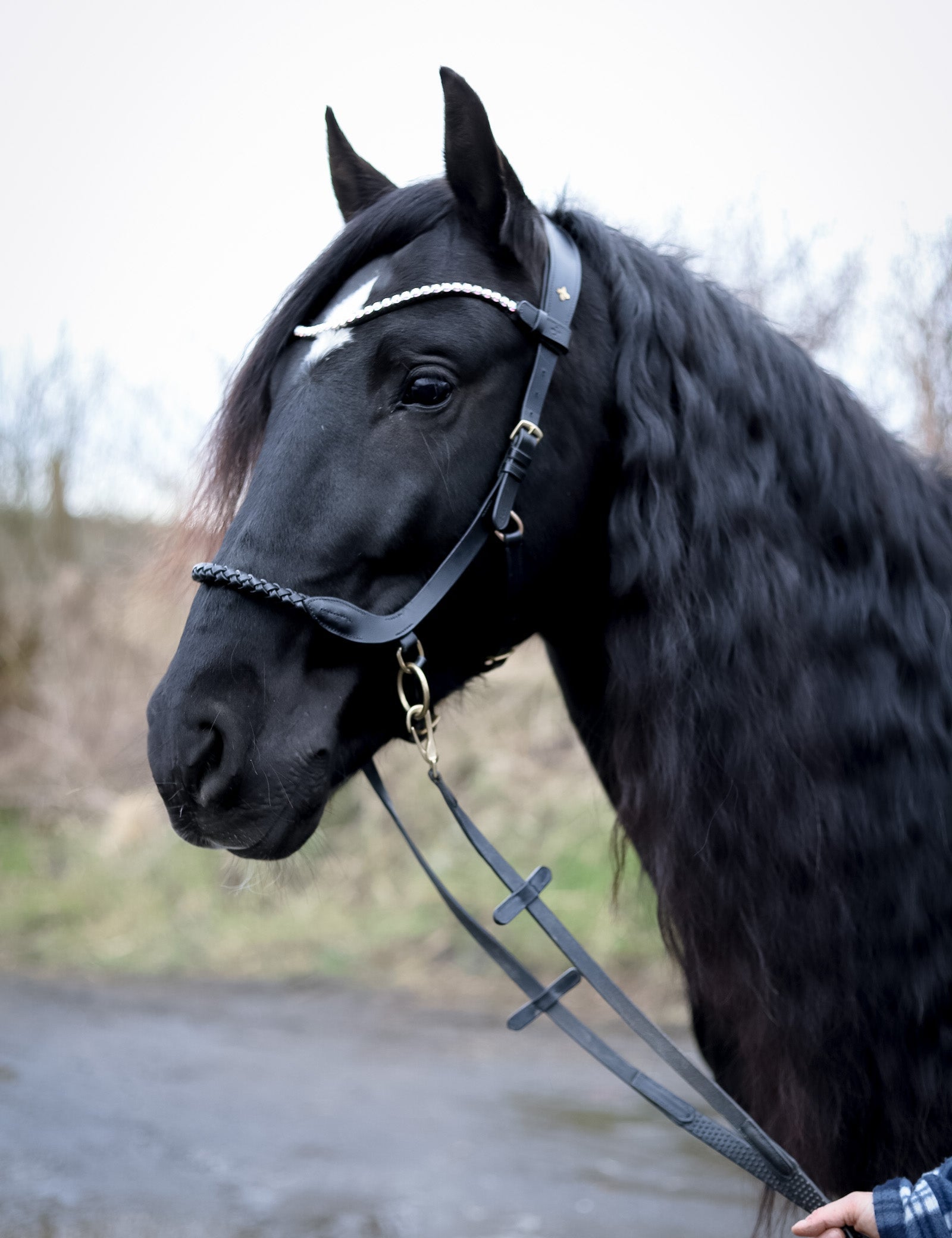 Masego Braided Sidepull Bitless Bridle - MASEGO horsewear - Equiluxe Tack