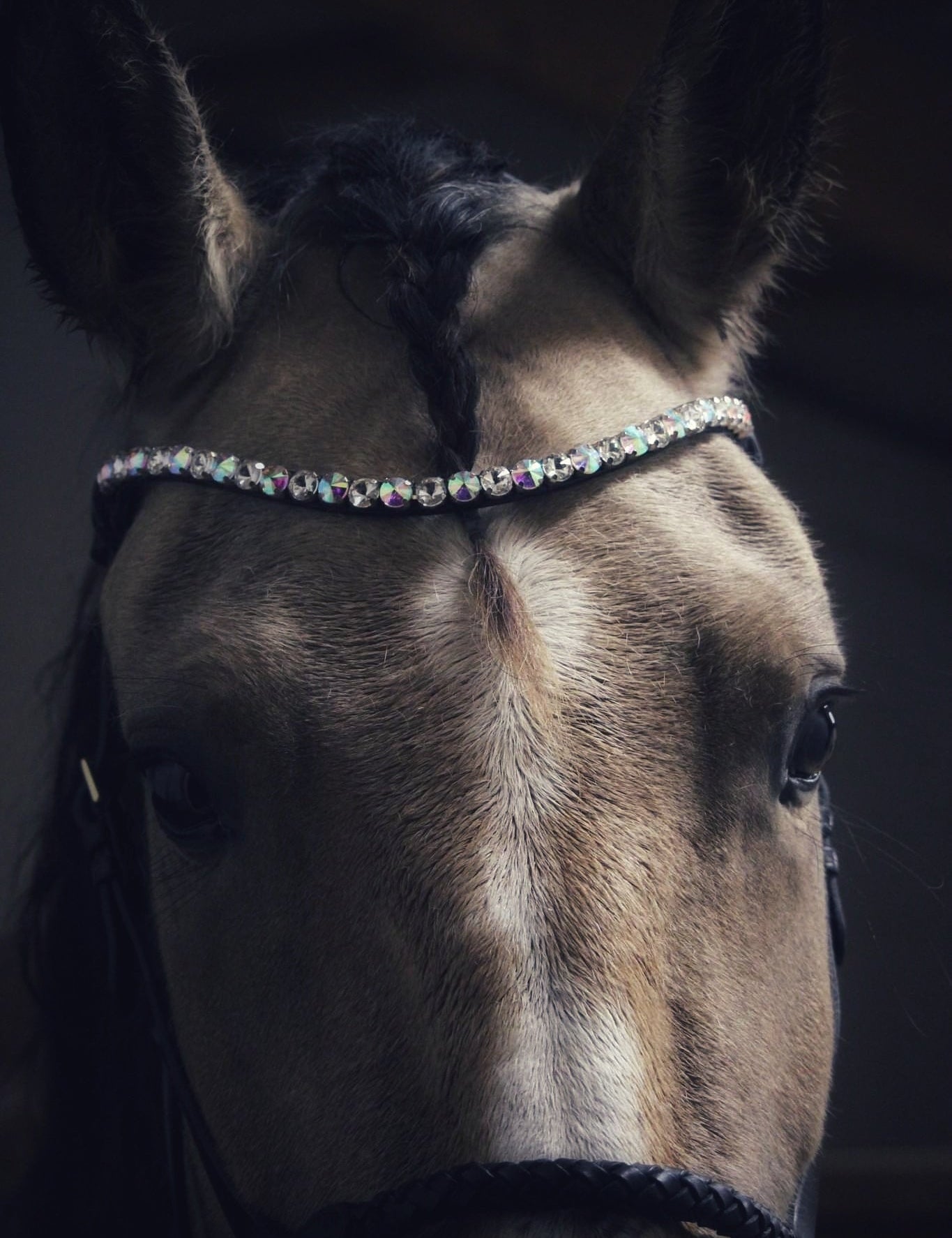 Masego Chunky Swarovski Ice Crystal Browband - MASEGO horsewear - Equiluxe Tack