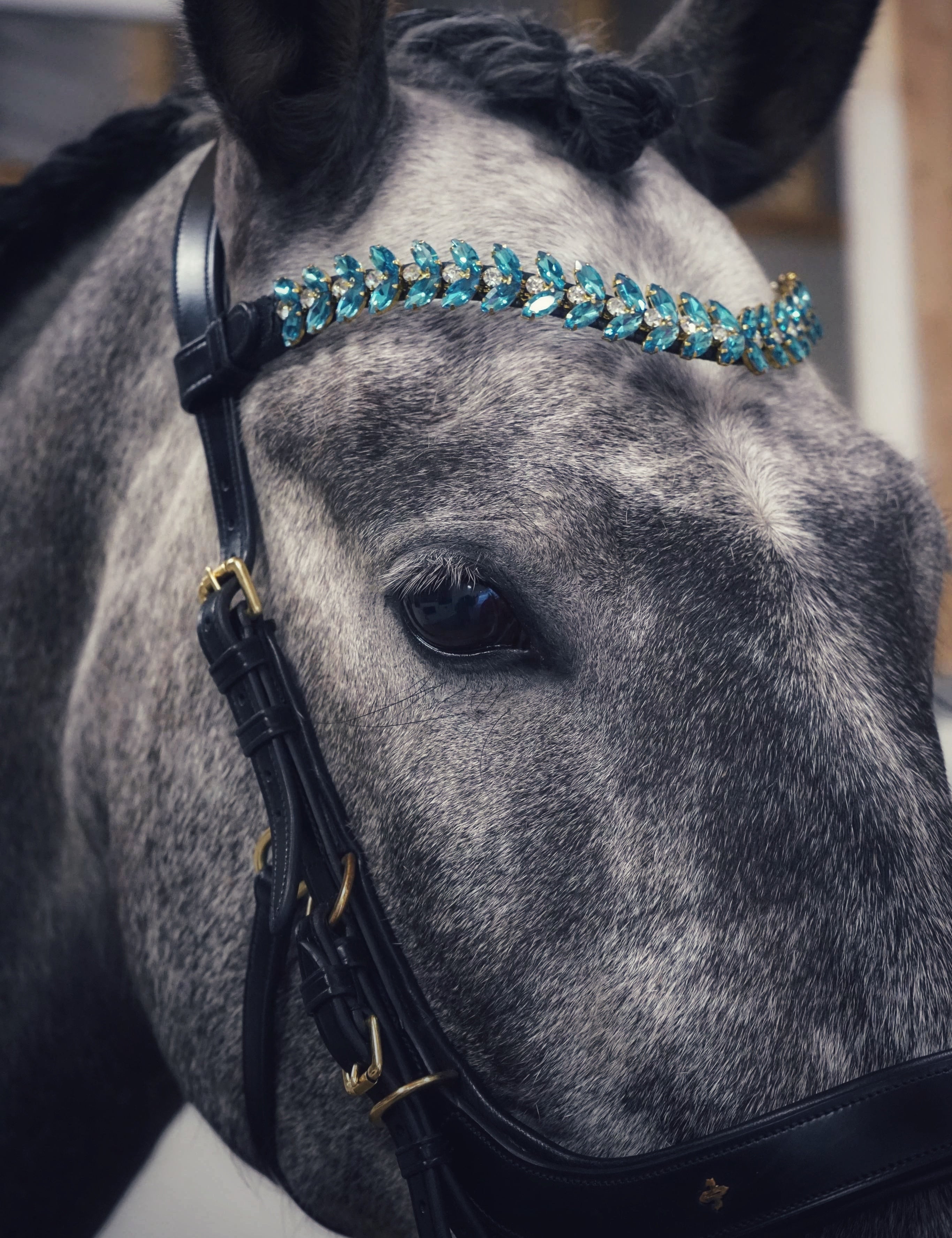 Masego Iris Italian Leather Browband - MASEGO horsewear - Equiluxe Tack