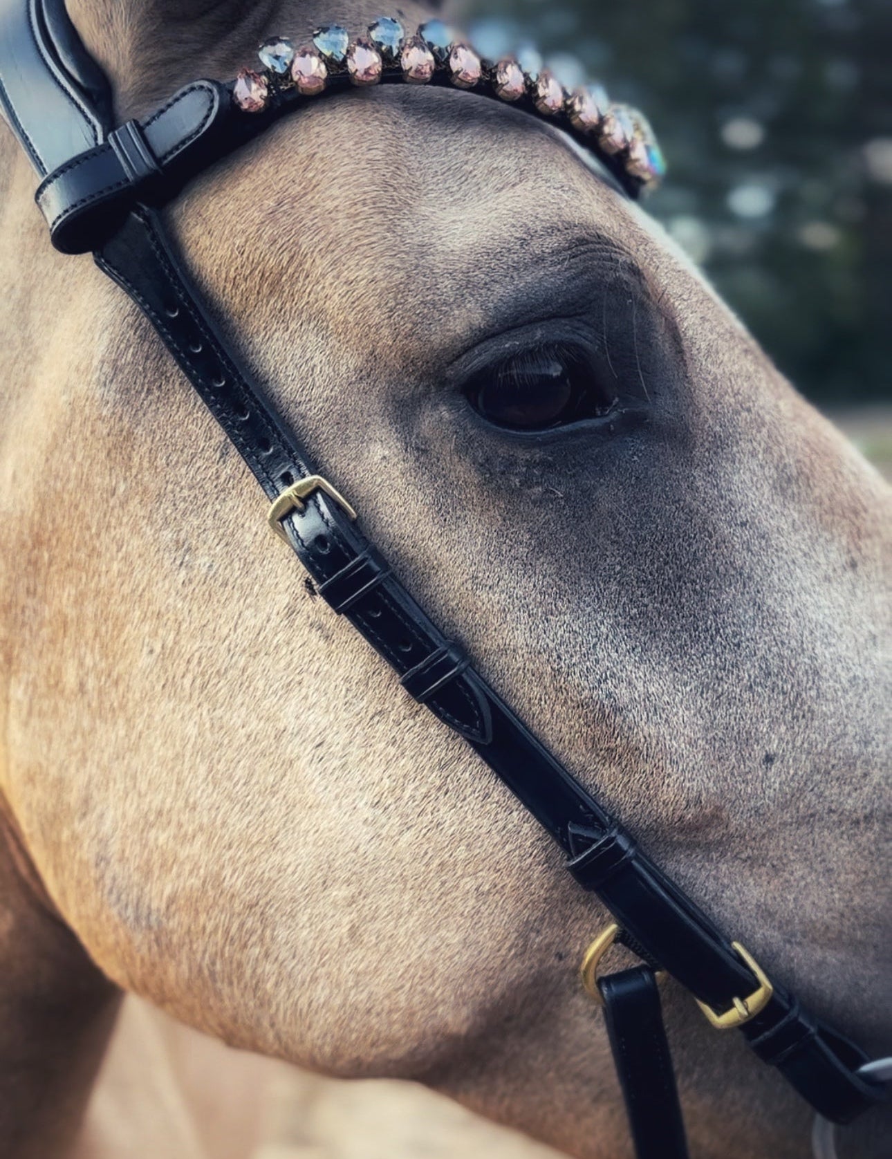 Masego Italian Leather 'Coco' Bridle (Without Noseband) - MASEGO horsewear - Equiluxe Tack
